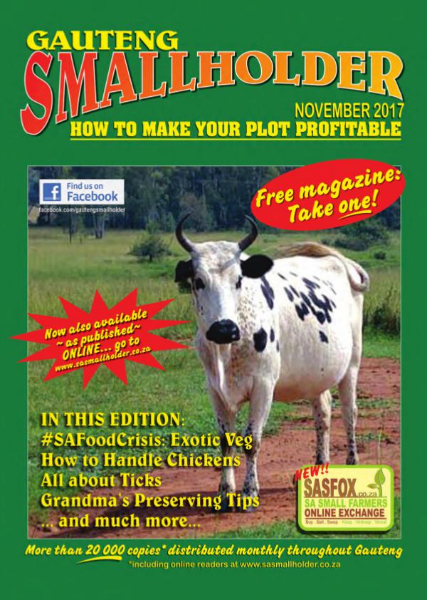 Gauteng Smallholder November 2011