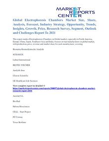 Electrophoresis Chambers Market Size, Share And Analysis To 2021
