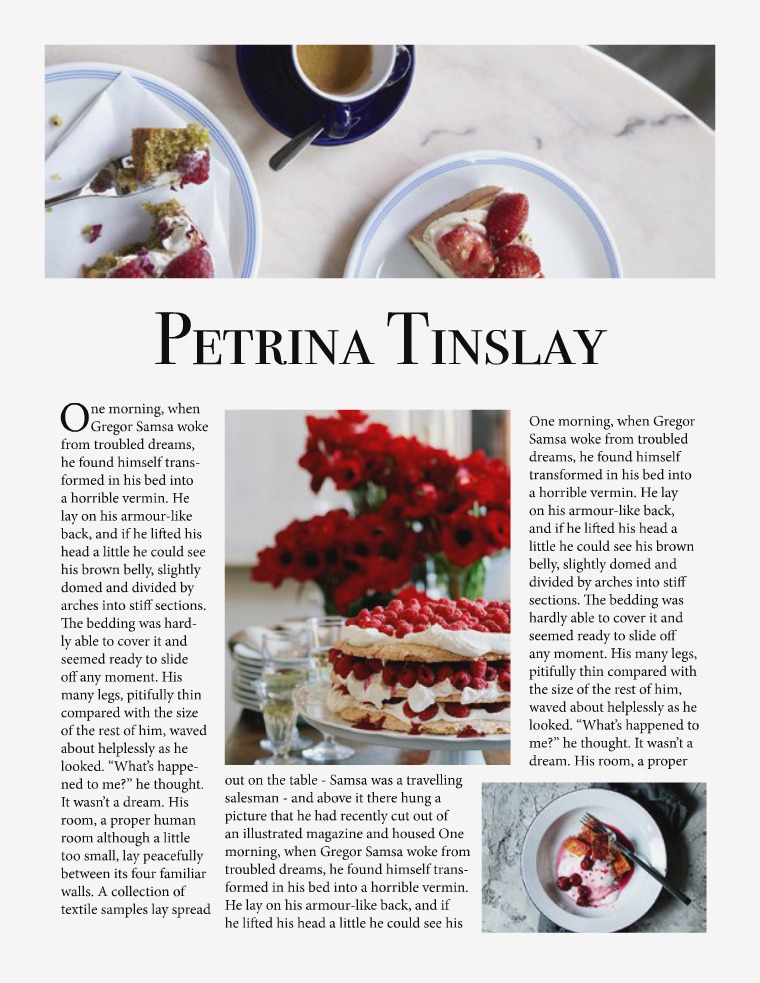 Petrina Tinslay vol 1