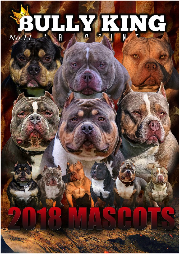 BULLY KING Magazine Issue No. 11