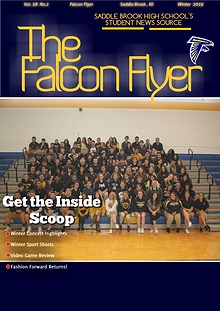 Falcon Flyer