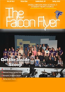 Falcon Flyer