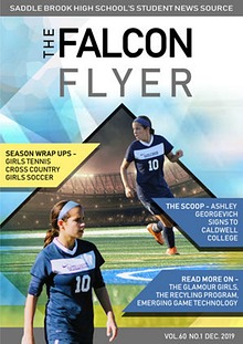 Falcon Flyer