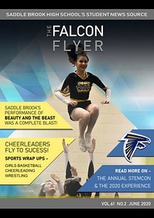 Falcon Flyer