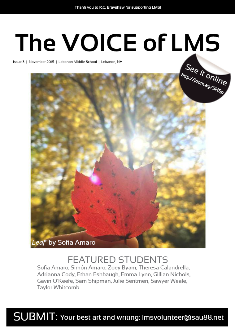 The VOICE of LMS Issue 3 • November 2015