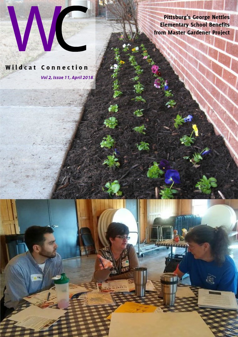 Wildcat Connection April 2018