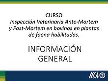 Curso Inspección Veterinaria Ante Mortem y Post mortem