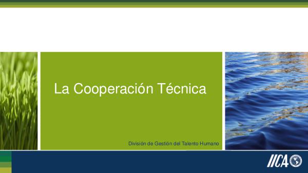 La Cooperación Técnica I