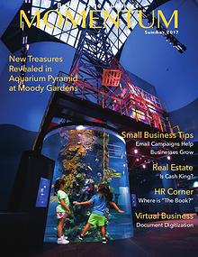 Momentum - Business to Business Online Magazine