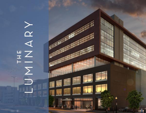 Dallas Property Marketing Luminary_Brochure_DIGITAL