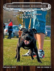 American Pit Bull Terrier Gazette