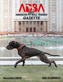 American Pit Bull Terrier Gazette