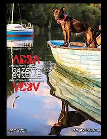 Volume 49 Issue 3