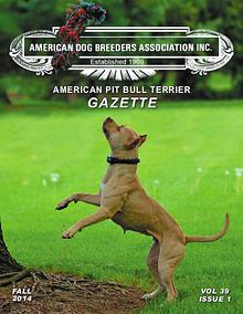 American Pit Bull Terrier Gazette