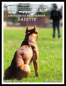 American Pit Bull Terrier Gazette