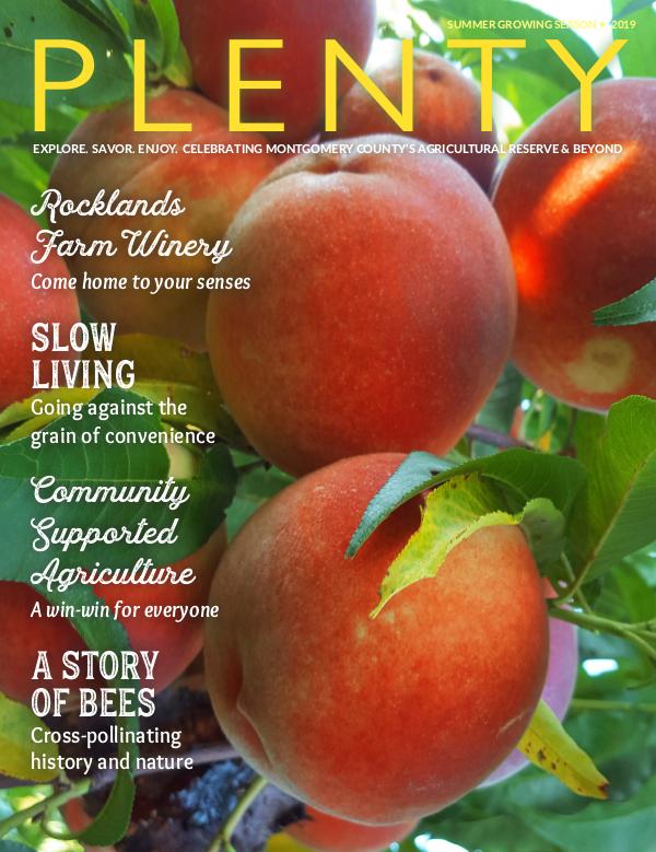 PLENTY  Magazine       SUMMER 2019 Plenty Summer 2019-joomag (1)