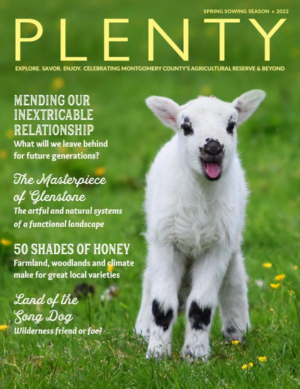 PLENTY magazine  Spring 2022