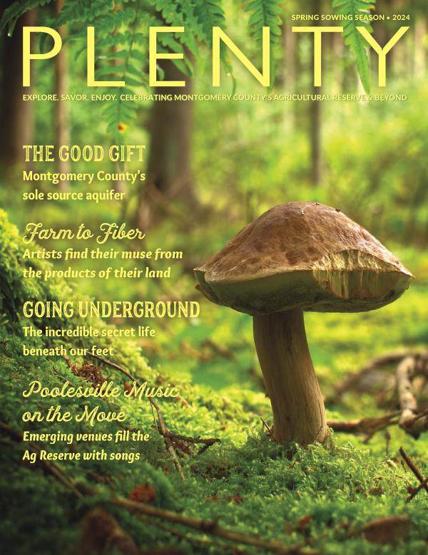 PLENTY-SPRING-2024-joomag PLENTY Magazine   Spring 2024