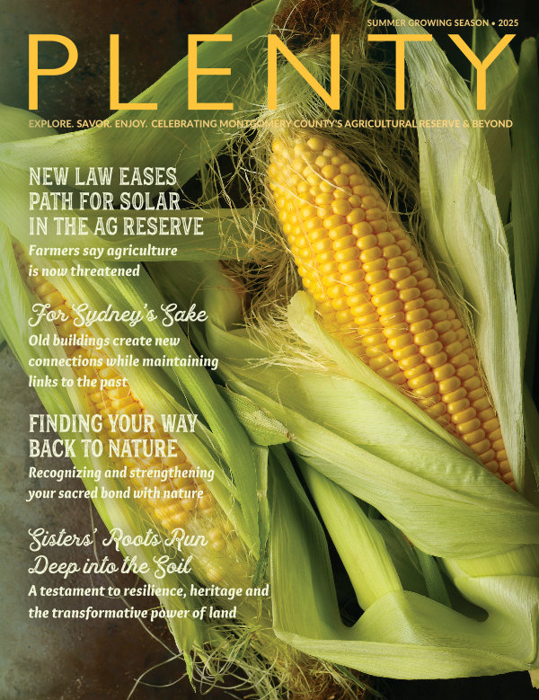 PLENTY-Summer-2025-Joomag Summer growing season