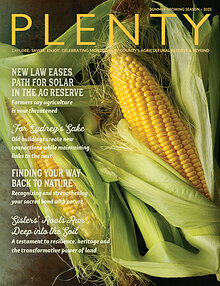 PLENTY-Summer-2025-Joomag