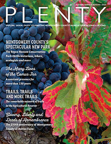 PLENTY-Fall-2025-Joomag