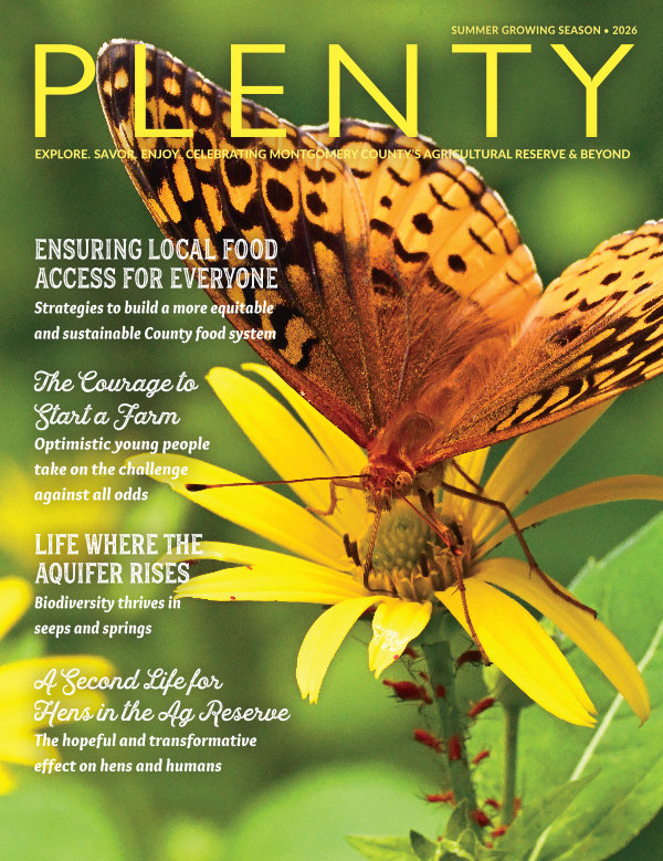 PLENTY Magazine Summer 2026