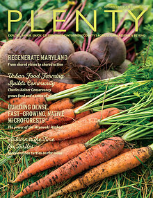 PLENTY Fall 2026