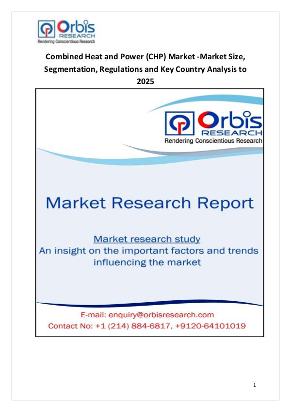 Combined Heat and Power (CHP) Market 2025 Forecast