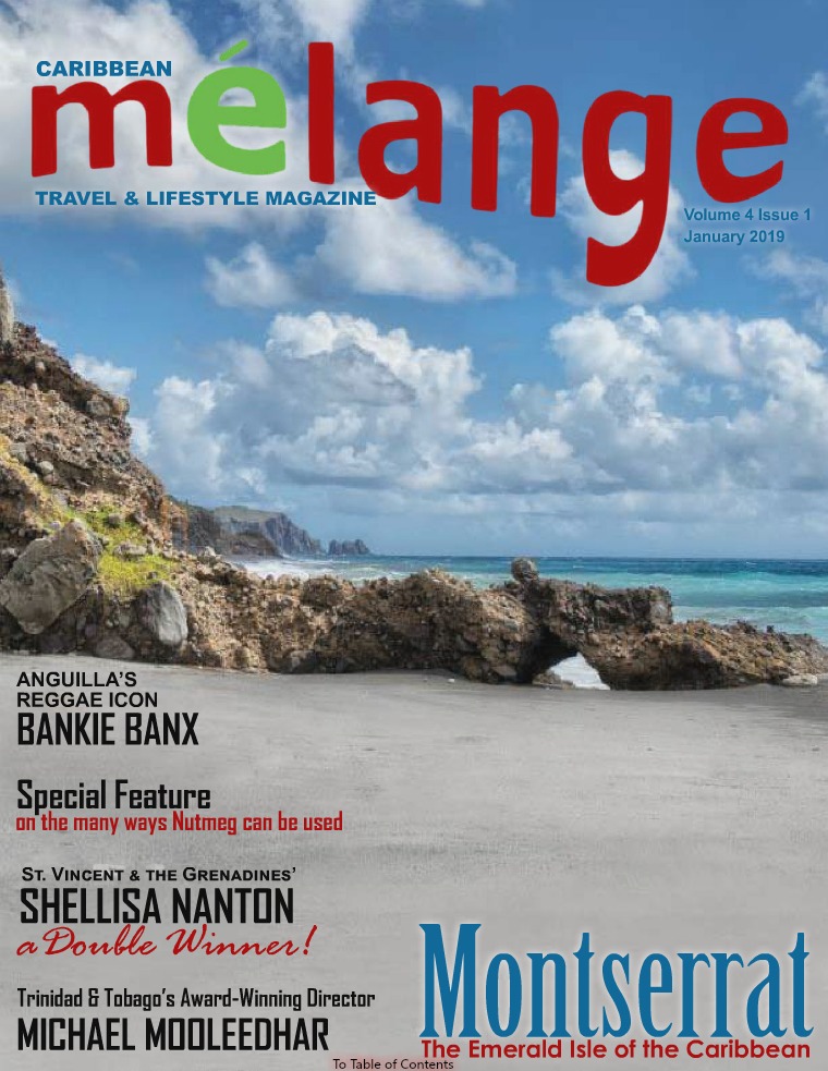 Mélange Travel & Lifestyle Magazine January 2019