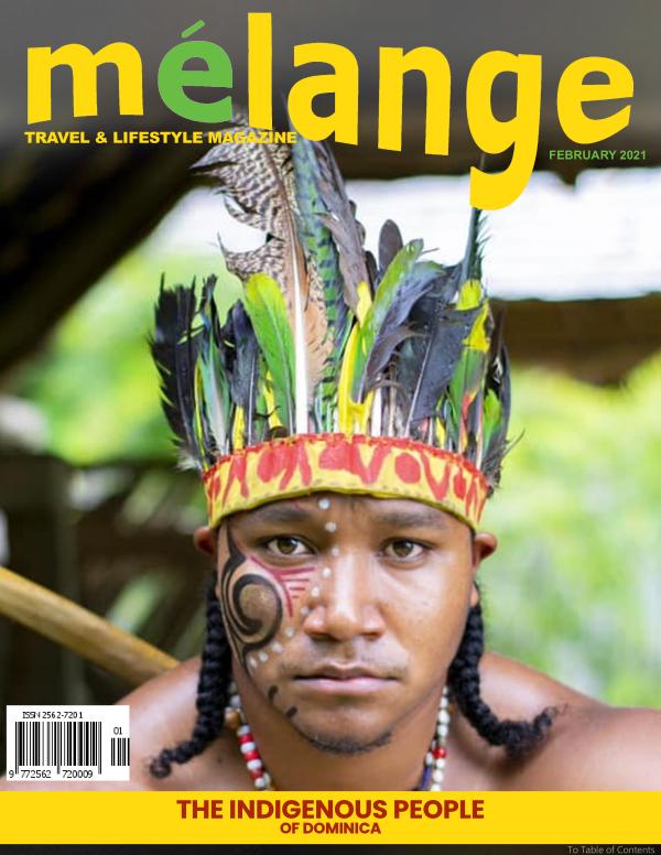 Mélange Travel and Lifestyle Magazine February 2021