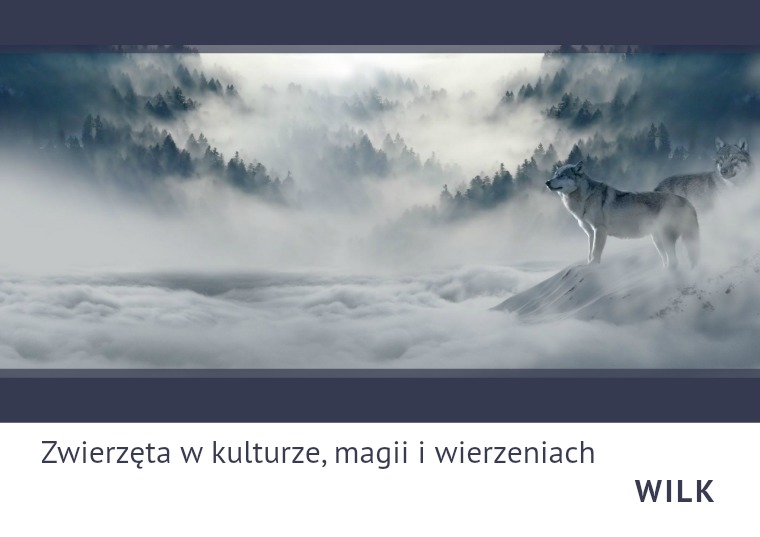 Zwierzęta w kulturze, magii i wierzeniach WILK