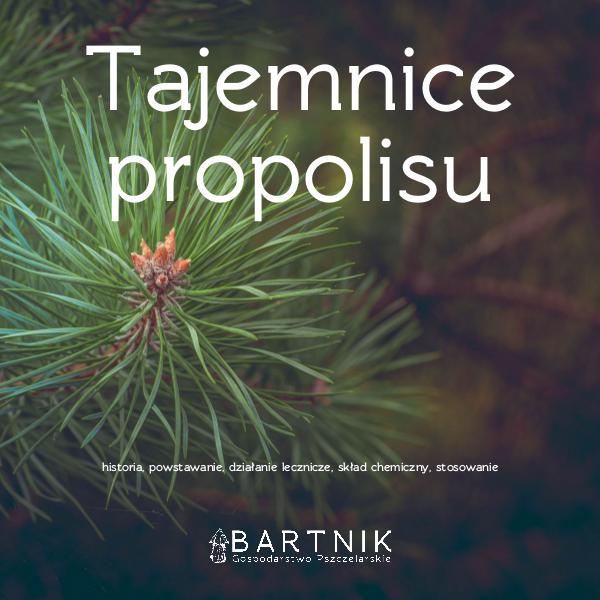 Tajemnice propolisu Kompendium wiedzy o propolisie