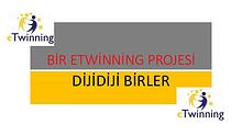 DİJİDİJİ BİRLER TANITIM