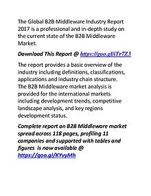 B2B Middleware Industry Report 2017: Compatitive Landscape Analysis