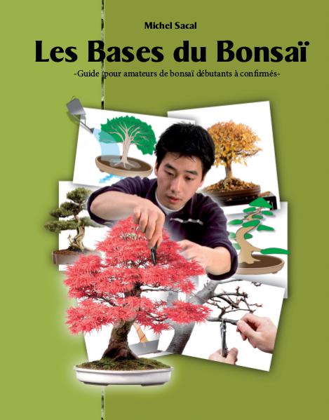 Les Bases du Bonsaï
