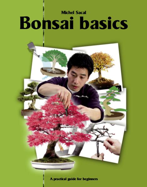 Bonsai Basics