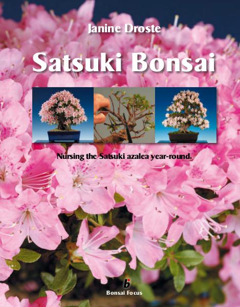 Satsuki Bonsai