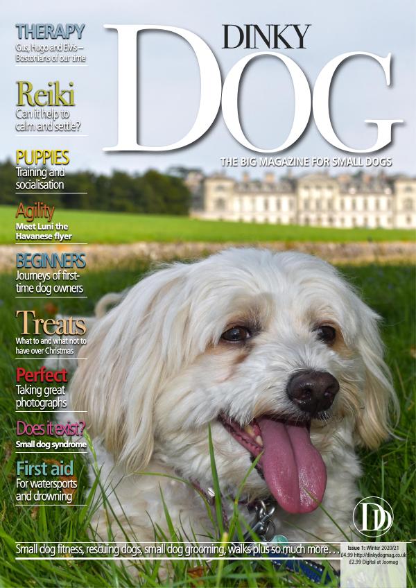 Dinky Dog Mag Winter 2020/21