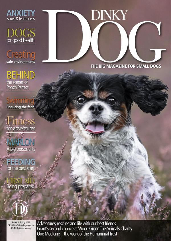 Dinky Dog Mag Spring 2021