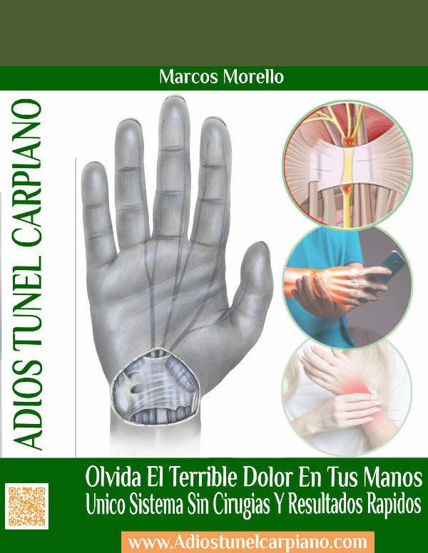 ⓈⒶⓁⓊⒹ » Libro: Túnel Carpiano Nunca Más PDF