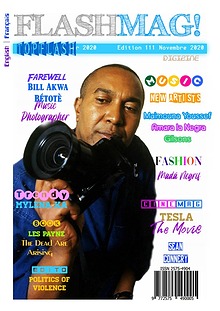 Flashmag Digizine Edition