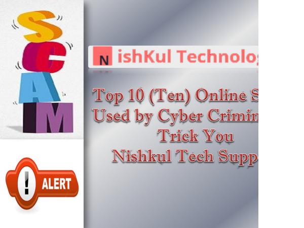 .:  Nishkul Technologies LLC .: