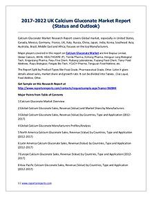 UK Calcium Gluconate market Revenue and Growth Rate Forecast 2017-202