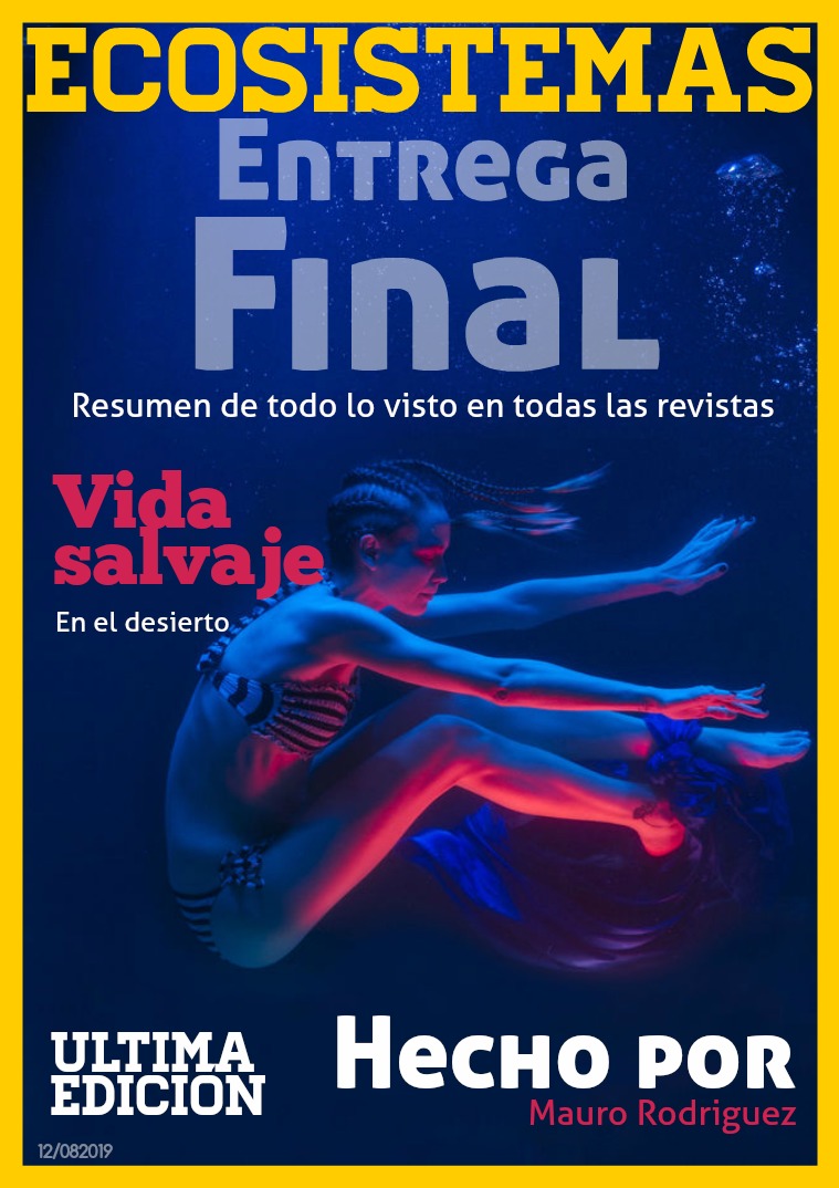 Entrega Final