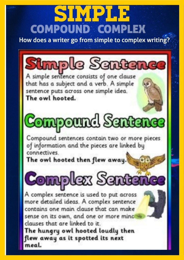 L.3.5a Literal VS Non-Literal Meanings 1