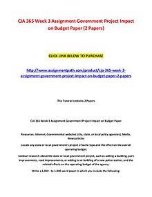 CJA 365 Week 3 Assignment Government Project Impact on Budget Paper (