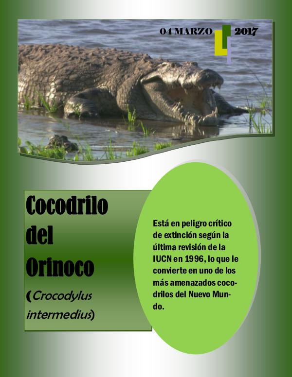 Mi primera revista cocodrilo peligro de extinción