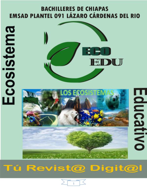 Ecosistema y Tipos de ecosistemas Ecosistemas