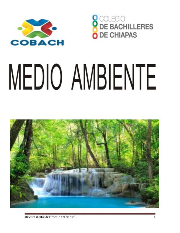 MEDIO AMBIENTE MEDIO AMBIENTE