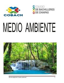 MEDIO AMBIENTE